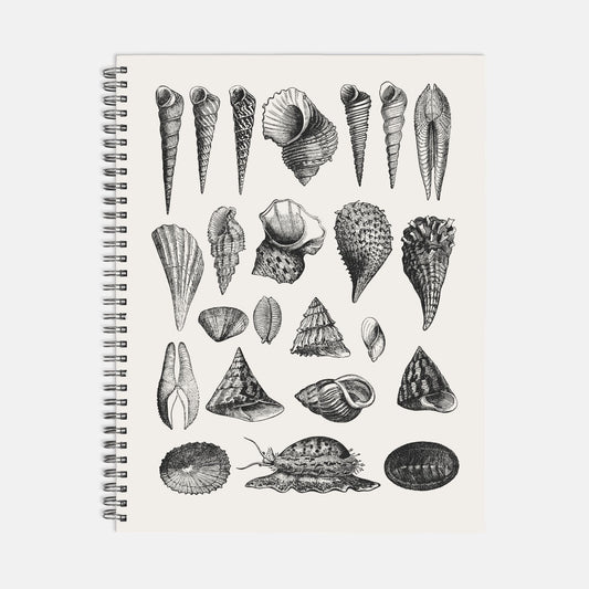 Seashells Notebook Hardcover Spiral 8.5 x 11